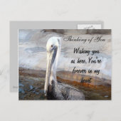 Carte Postale Pelican Love,-Occasions_ (Devant / Derrière)