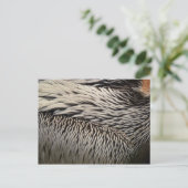 Carte Postale Pélican Plumes Photographie Abstraite de la nature (Debout devant)