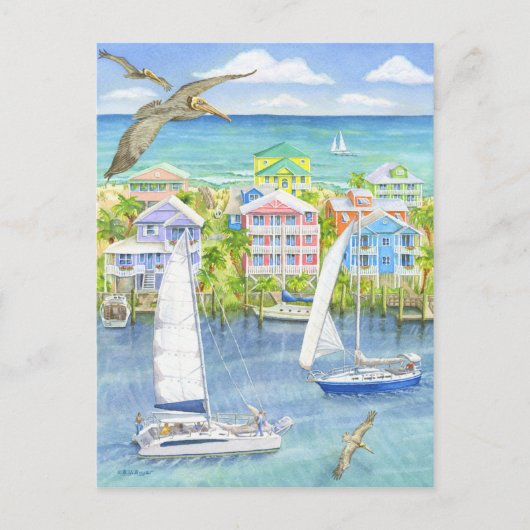 Carte Postale Pélican Point de vue (Devant)