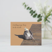 Carte postale - Pélican sur la jetée (Debout devant)