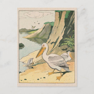 Carte Postale Pélican sur la plage
