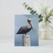 Carte Postale Pélican sur un Piling 1. (Debout devant)