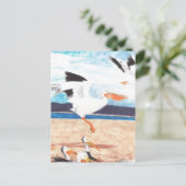 Carte Postale Pélicans (Debout devant)