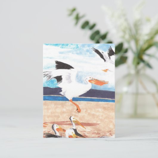 Carte Postale Pélicans (Debout devant)