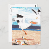 Carte Postale Pélicans (Devant / Derrière)