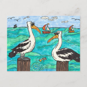 Carte postale Pélicans