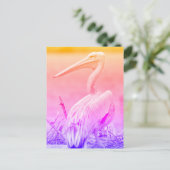 Carte Postale Pélicans à dos roses (Debout devant)