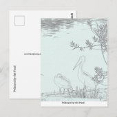 Carte postale - Pélicans au bord de l'étang (Devant / Derrière)