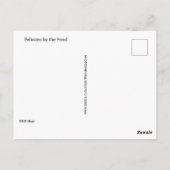 Carte postale - Pélicans au bord de l'étang (Dos)