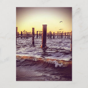 Carte Postale Pélicans au-dessus de la baie au coucher du soleil