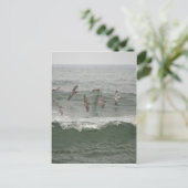 Carte Postale Pélicans Brown et Surf de l'Oregon (Debout devant)