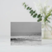 Carte Postale Pélicans et vagues en noir et blanc (Debout devant)