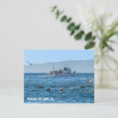 Carte Postale Pélicans - Marina Del Rey, CA (Debout devant)