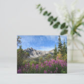 Carte Postale Pelly Mountain Vista (Debout devant)