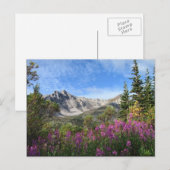 Carte Postale Pelly Mountain Vista (Devant / Derrière)