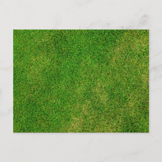 Carte Postale Pelouse (Devant)