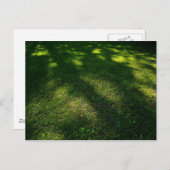 Carte Postale Pelouse dorée (Devant / Derrière)
