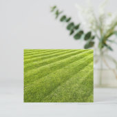 Carte Postale Pelouse rayée Abstraite (Debout devant)