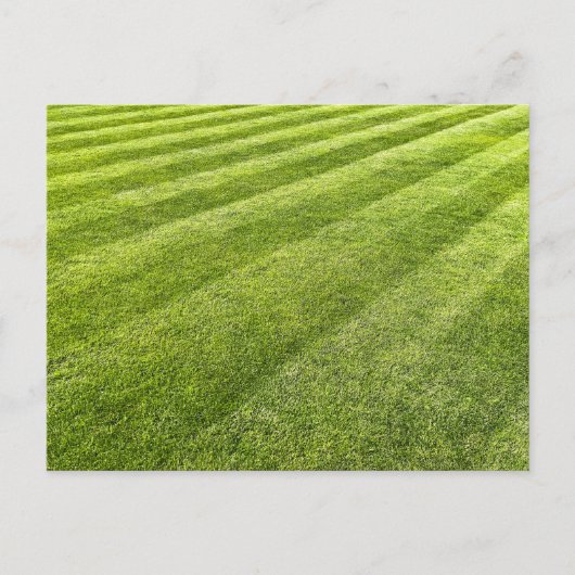Carte Postale Pelouse rayée Abstraite (Devant)