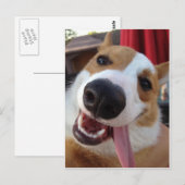 Carte Postale Pembroke rouge et blanc Corgi gallois (Devant / Derrière)