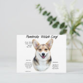 Carte Postale Pembroke Welsh Corgi Conception de l'histoire (Debout devant)