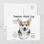 Carte Postale Pembroke Welsh Corgi Conception de l'histoire (Devant / Derrière)