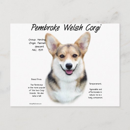 Carte Postale Pembroke Welsh Corgi Conception de l'histoire (Devant)