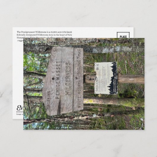 Carte Postale Pemigewasset Wilderness Postcard (Devant / Derrière)