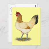 Carte Postale Penedesenca :  Poule blonde comme les blés (Devant / Derrière)