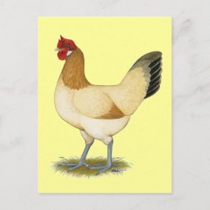 Carte Postale Penedesenca:  Wheaten Hen