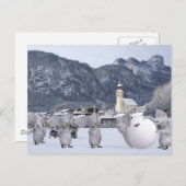 Carte Postale Pengphants doux (Devant / Derrière)