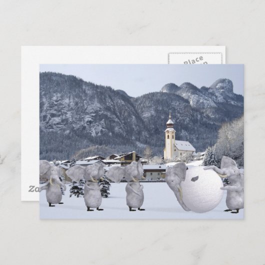 Carte Postale Pengphants doux (Devant / Derrière)