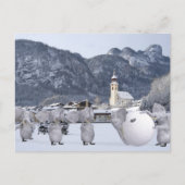 Carte Postale Pengphants doux (Devant)