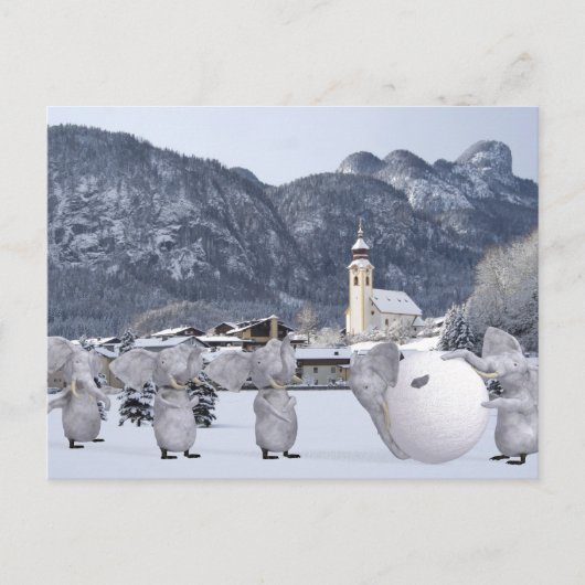 Carte Postale Pengphants doux (Devant)