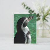 Carte postale Penguin (Debout devant)