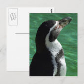 Carte postale Penguin (Devant / Derrière)