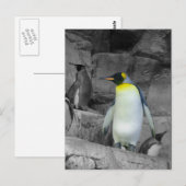 Carte Postale Penguin (Devant / Derrière)