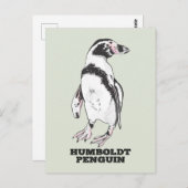 Carte Postale Penguin de Humboldt (Devant / Derrière)