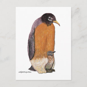 Carte Postale Penguin Robin with Chick