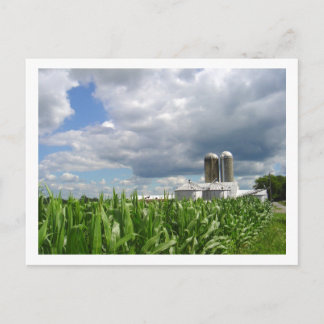 Carte postale Pennsylvania Cornfield