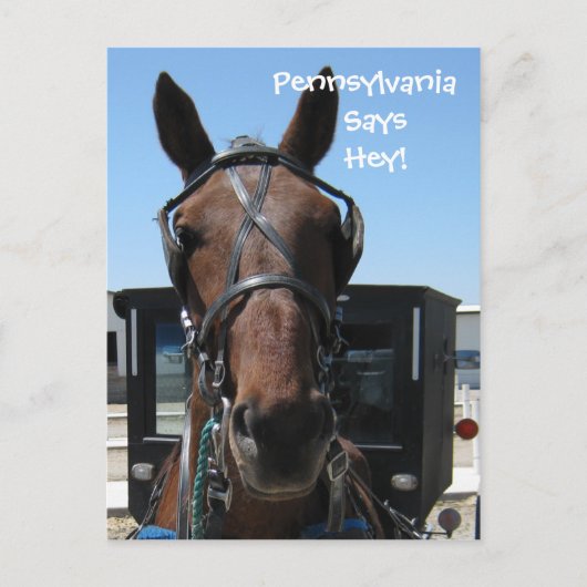Carte Postale Pennsylvanie Hey ! (Devant)