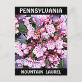 Carte Postale Pennsylvanie Mountain Laurel (Devant)