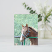 Carte Postale Penny Ole Gal (Debout devant)