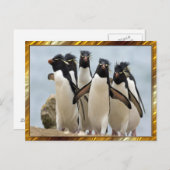 Carte Postale Penquin Walking (Devant / Derrière)