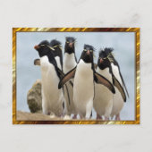 Carte Postale Penquin Walking (Devant)