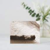 Carte postale Pensacola Beach (Debout devant)