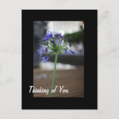 Carte Postale Pense à toi. (Devant)