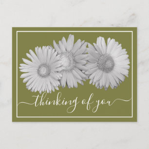 Carte Postale Pense à toi Gerbera Daisies Fond Vert