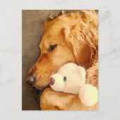 Carte Postale Pense à toi Mignon Chien Retriever Golden Triste A (Devant)