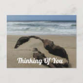 Carte Postale Pense à toi sable Bois flotté plage Prends soin de (Devant)
